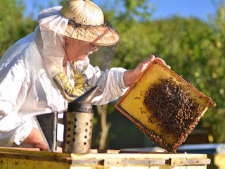 Повышение квалификации пчеловода