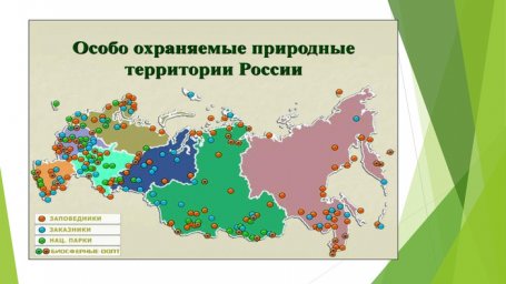 Бесплатный дистанционный учебный курс «Особо охраняемые природные территории России»