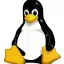 Тест на тему Сетевые средства Linux