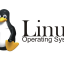 Операционная система Linux - тест 1
