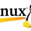 Тест на тему "Операционная система linux"