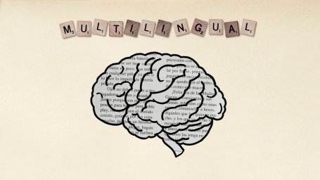 Как изучение языков влияет на наш мозг?