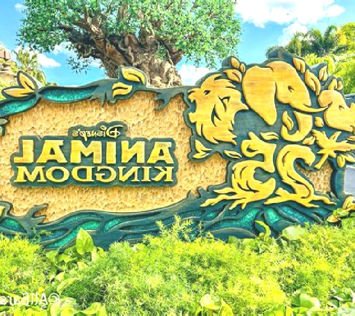Animal Kingdom slot game