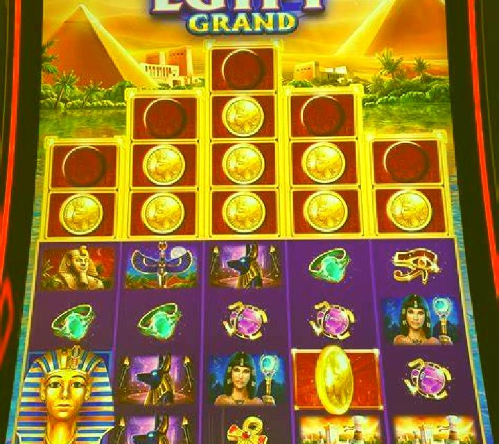Beary Wild slot