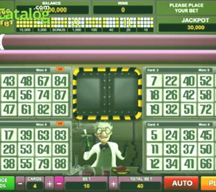 Bingo Cientista Doidao slot