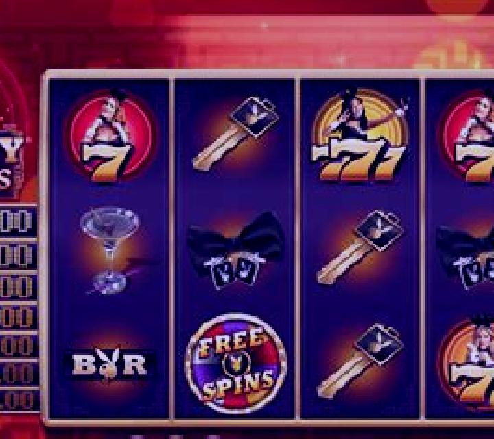 Bingo Gatinho slot