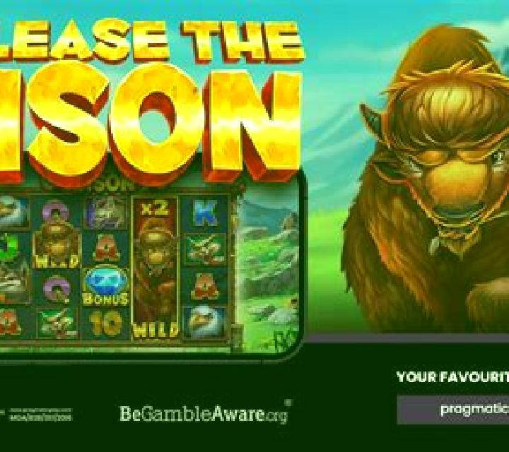 Bison Storm slot machine