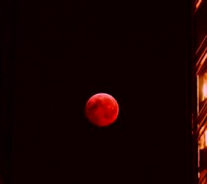 Blood Moon (X Card) slot game