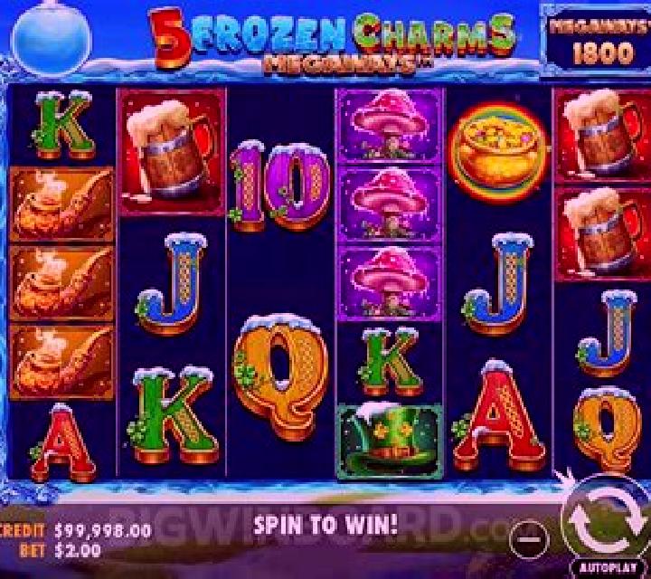Book of the Cursed slot game