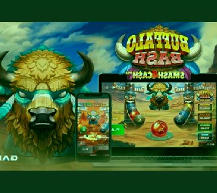 Bulls Eye Bandits slot game