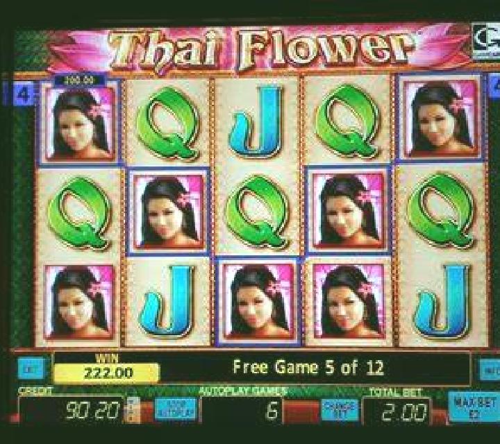 Cirque Du Soleil Amaluna slot machine