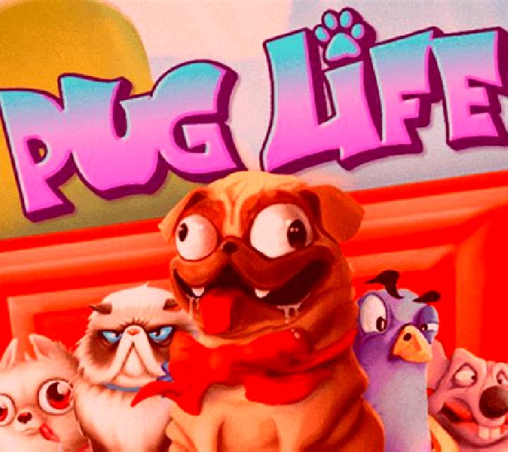 Crazy Pug online slot