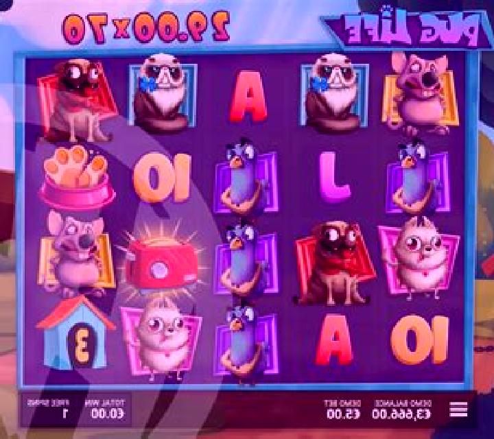 Crazy Pug slot