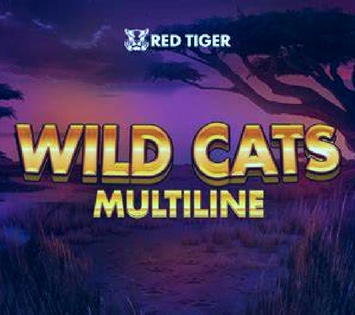 Deluxe Riches XXL slot machine