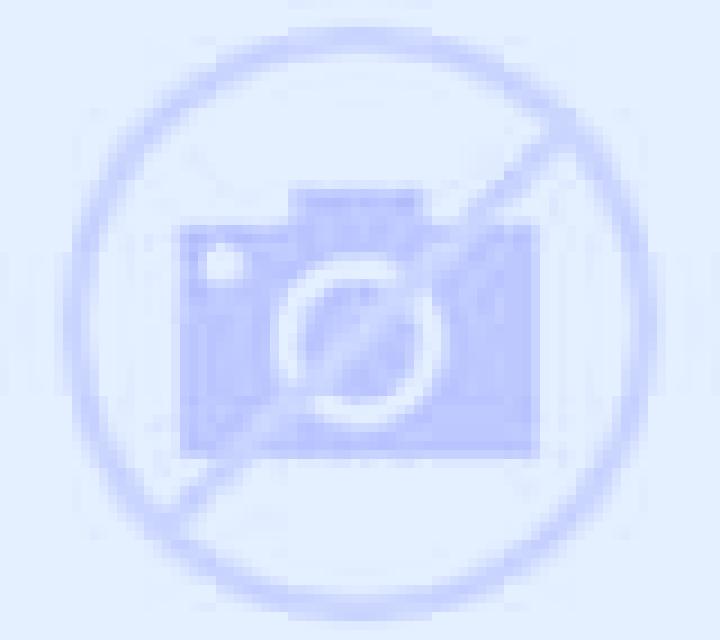Dragon Hunter (Magnet Gaming) online slot