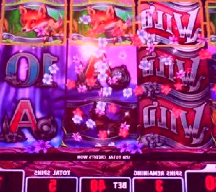 Evolution slot