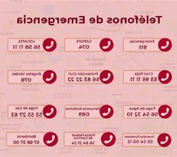 Forest Lucky Wheel online slot