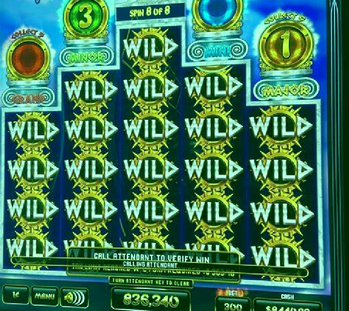 Forest Secret slot game