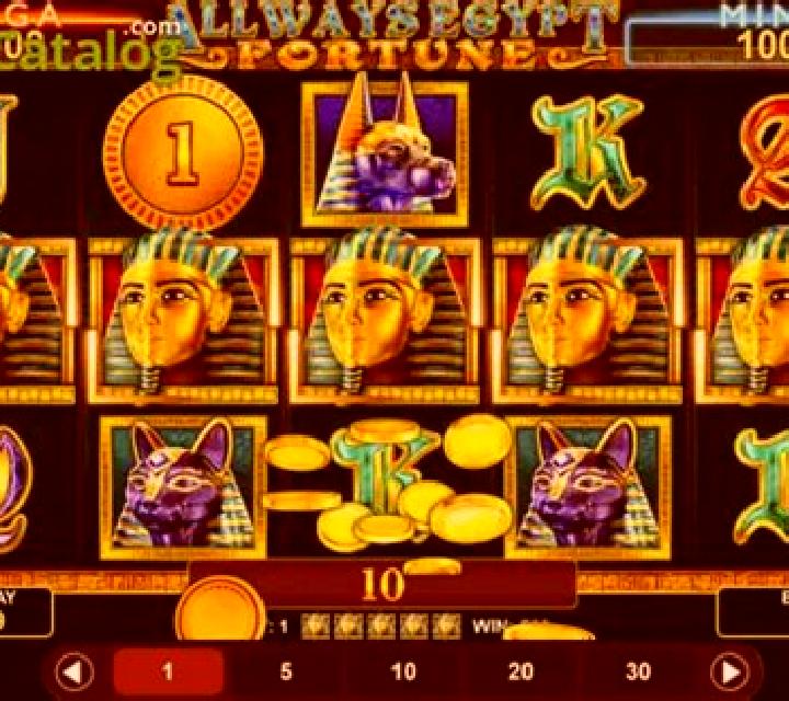 Frog House online slot