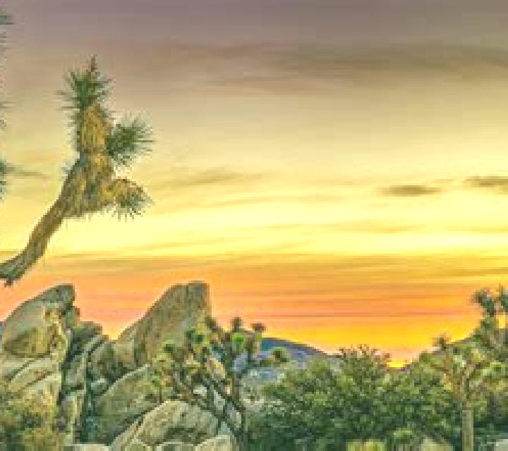 Golden Fever online slot