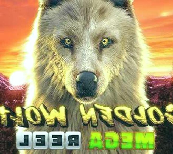 Golden Wolf Mega Reel online slot