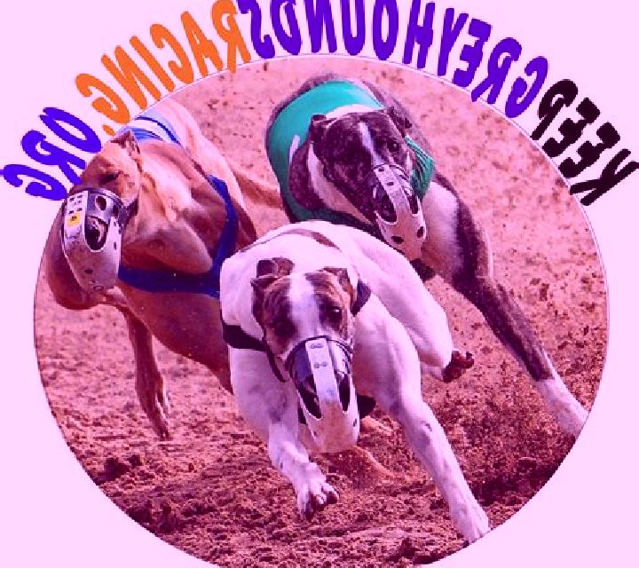 Greyhounds Streak online slot