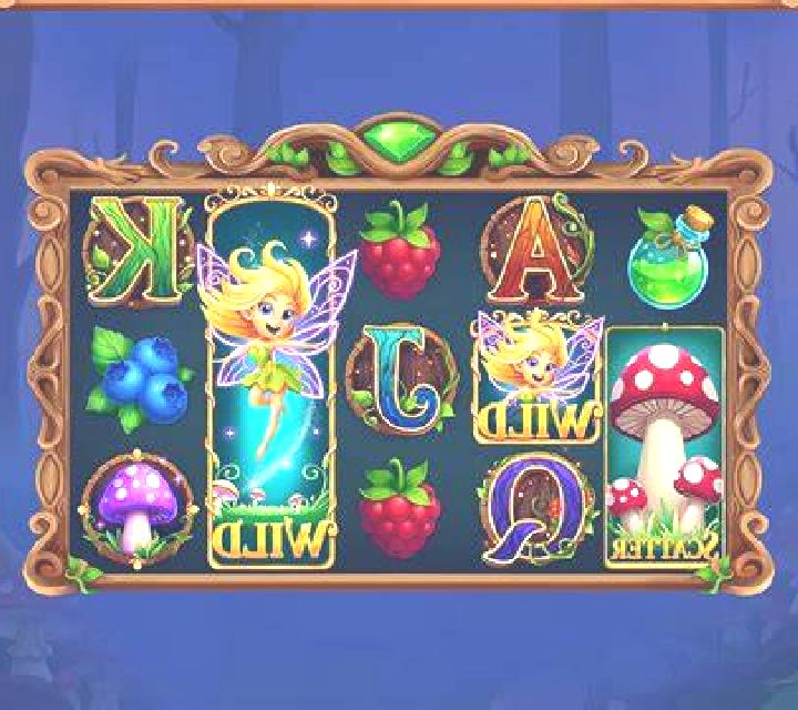 Hairy Fairies slot game