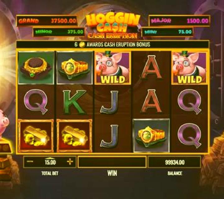 Hoggin Gold slot game