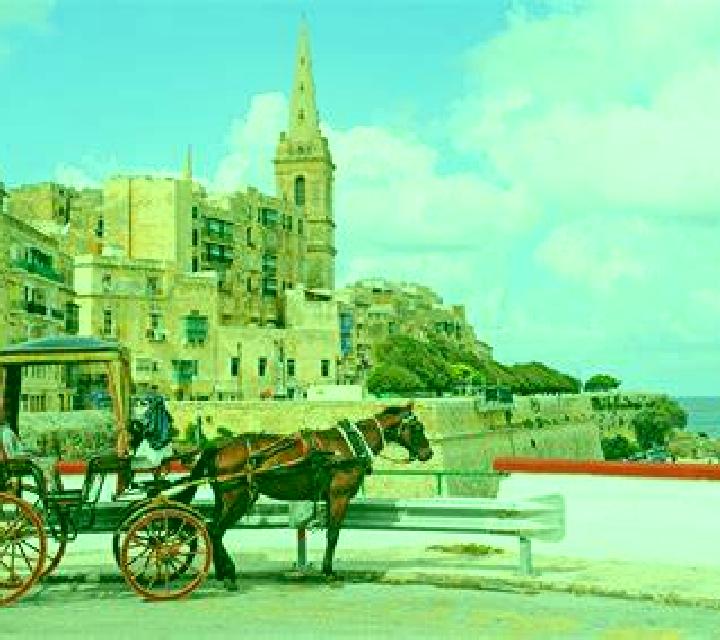 Horse Racing (Elbet) slot