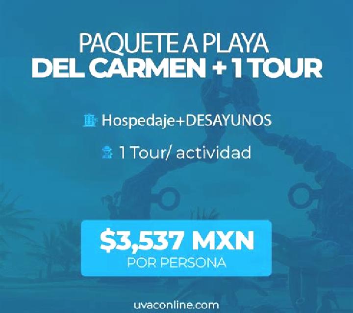 Hyper Neko 7s slot game