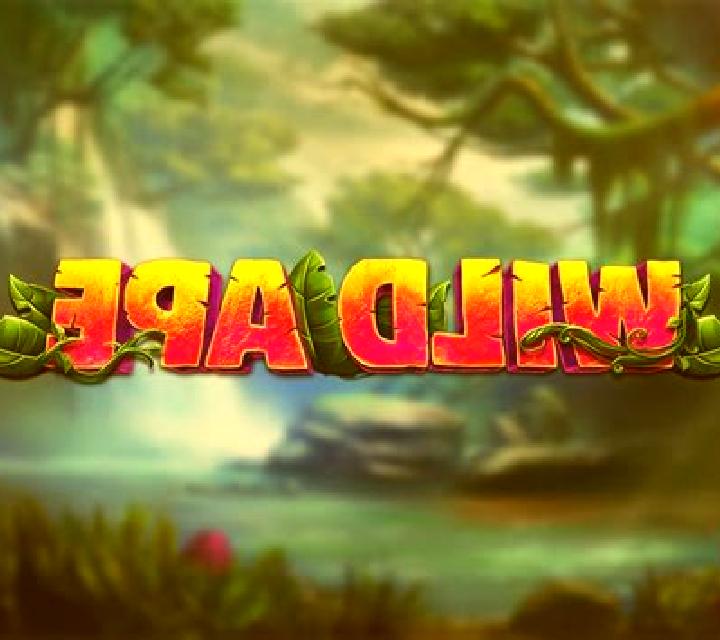 Jungle Explorer (Greentube) online slot