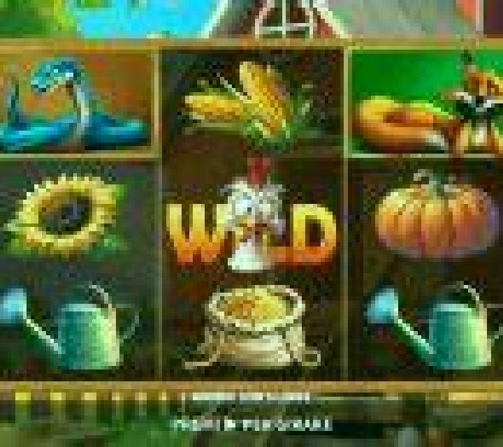 King of Safari slot