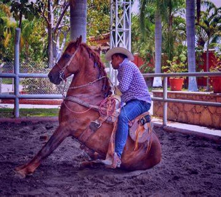 Kitty Coins slot game