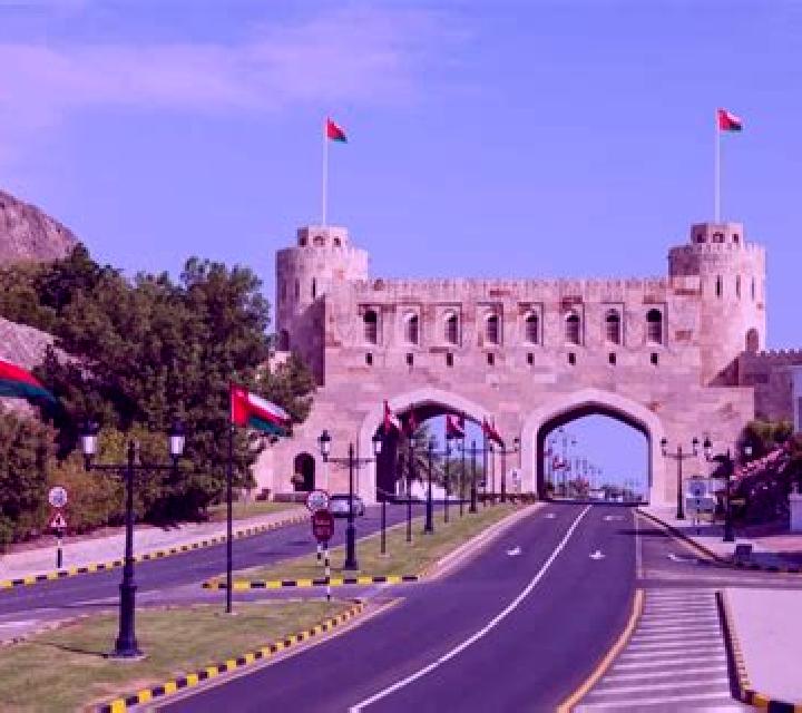 Lucky Tropical Birds (Pull Tabs) slot game