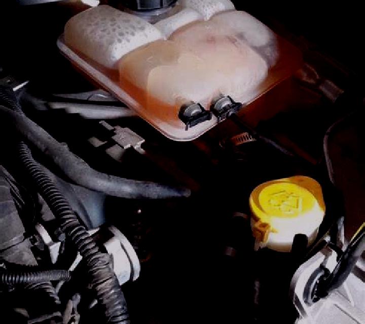 Majestic Sea slot game
