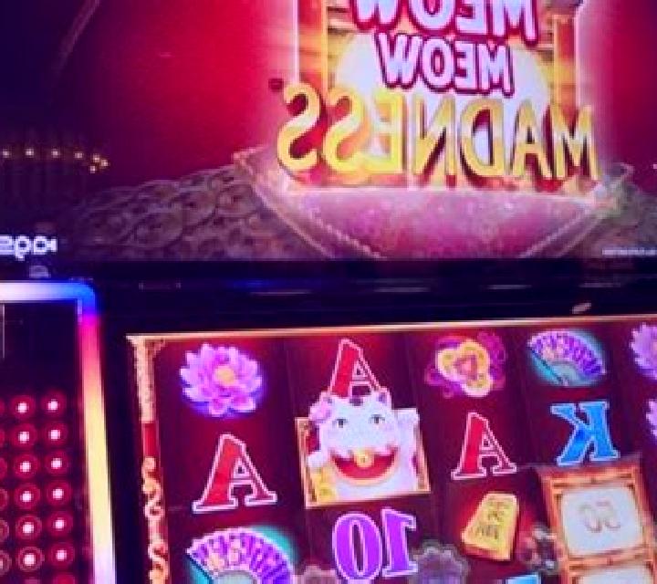 Meow Meow slot