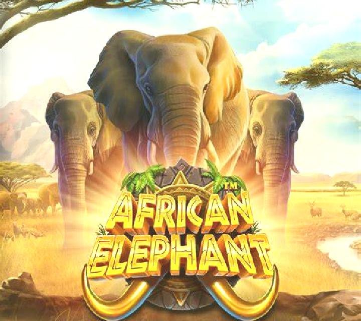 Money Elephant slot game