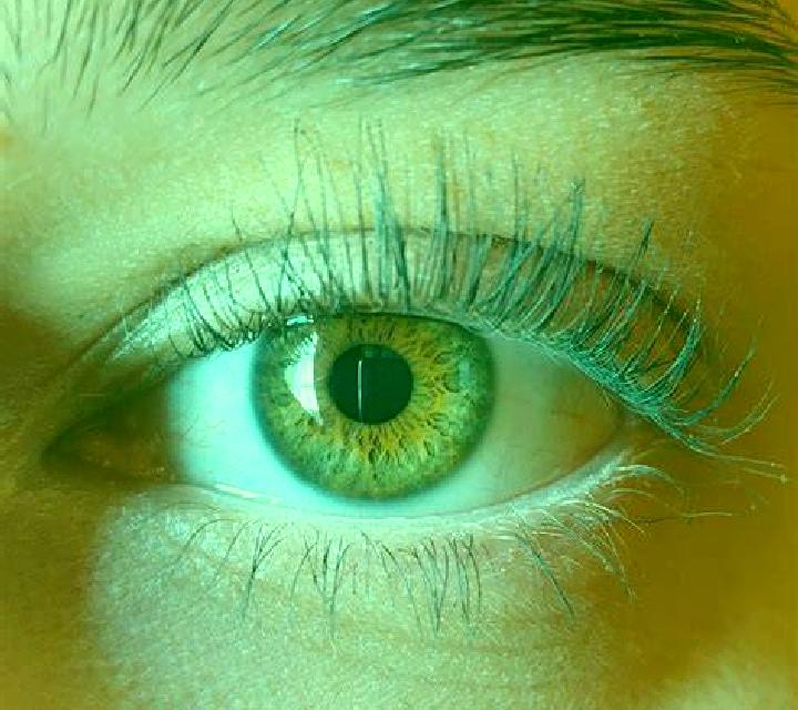 Mystic Buffalo slot machine