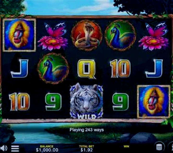 Parrot Bay slot game