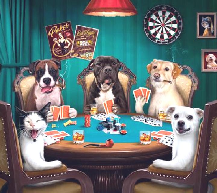 Poker Dogs online slot