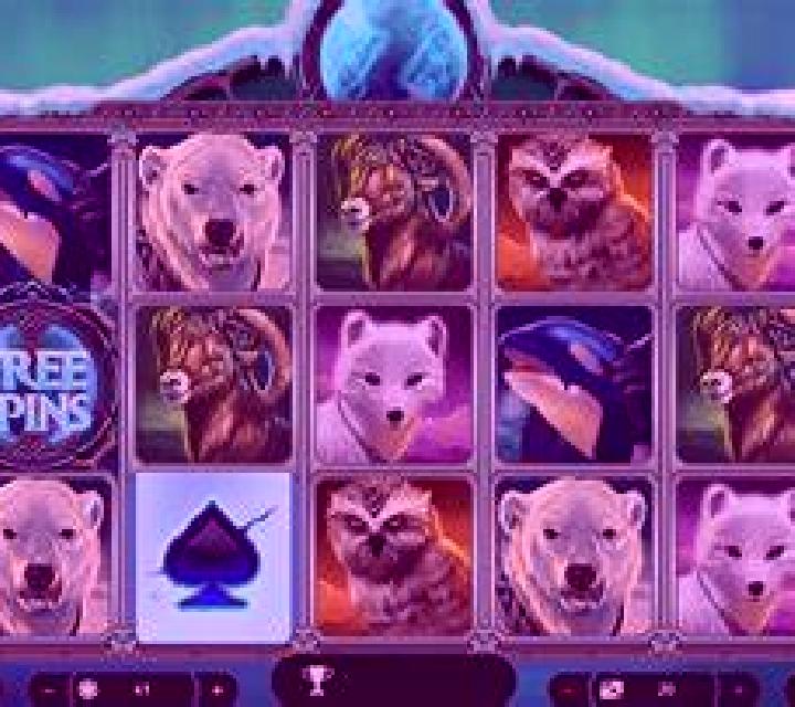 Polar Magic slot