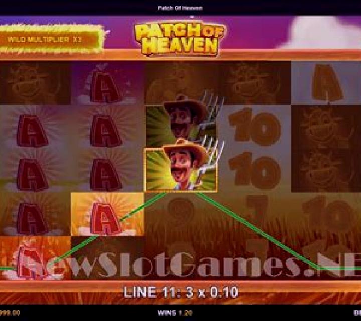 Quad Link: Count online slot