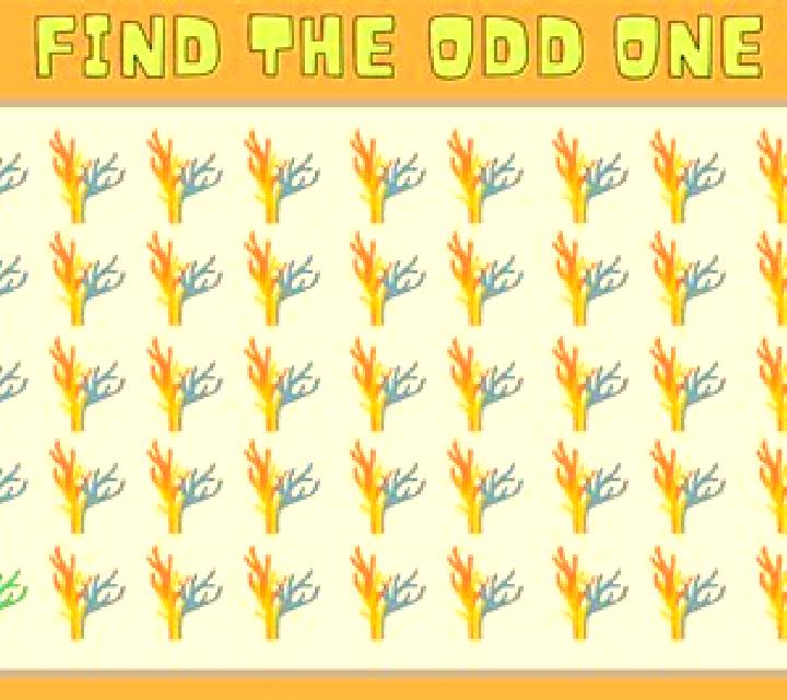Queen of gold online slot
