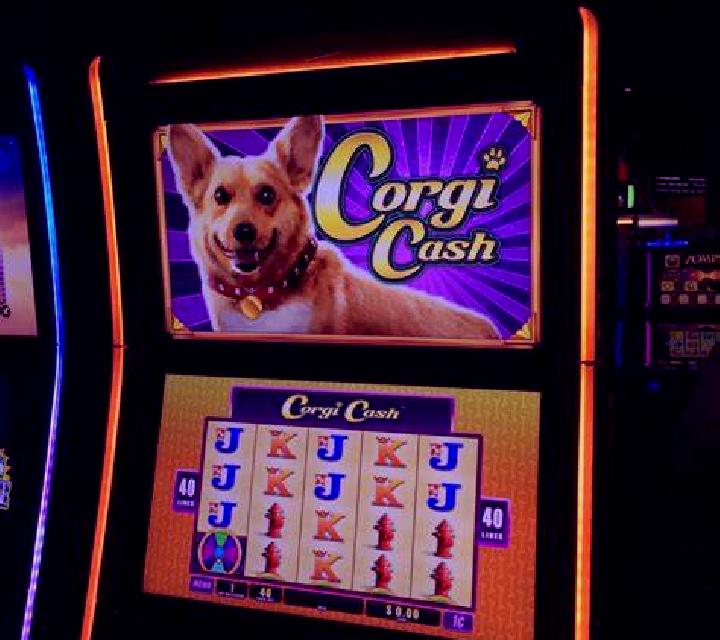 Queen s Corgi slot machine