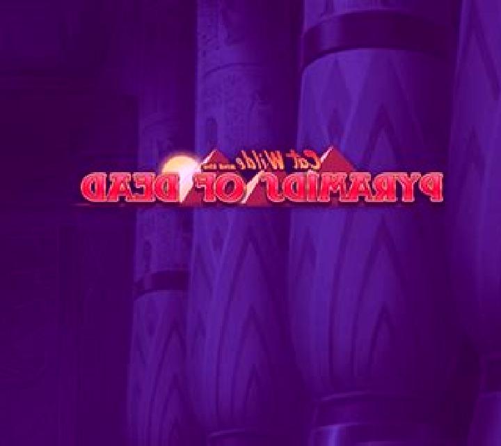 Real Baccarat with Holly slot game