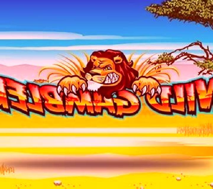 Reel King Mega slot