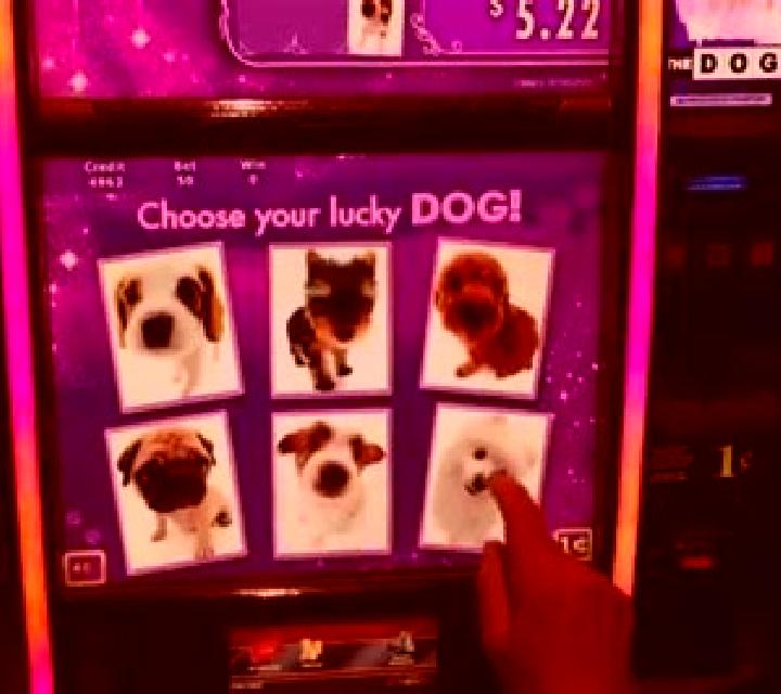 Reels Avenue Link&Win online slot