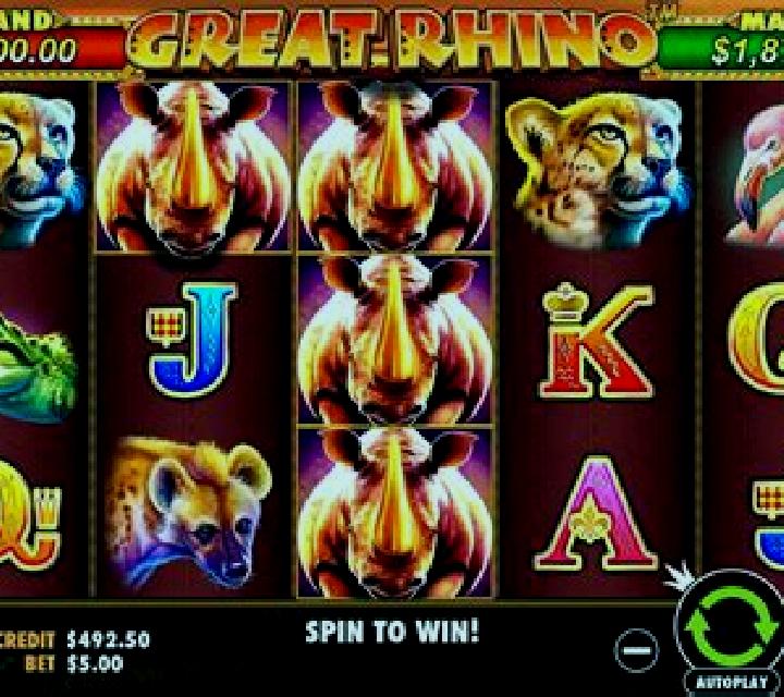 Rhino slot machine