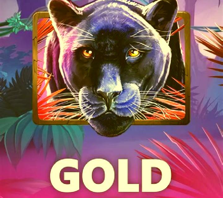 Roulette Portomaso Live Casino slot game