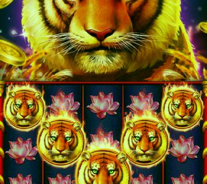 Royal Slots slot